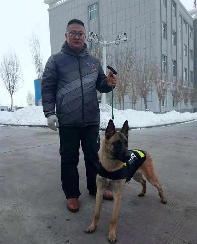 圖為：烏蘇北園春市場副總經(jīng)理孫兵人犬配合擔任安保任務(wù)_副本.jpg